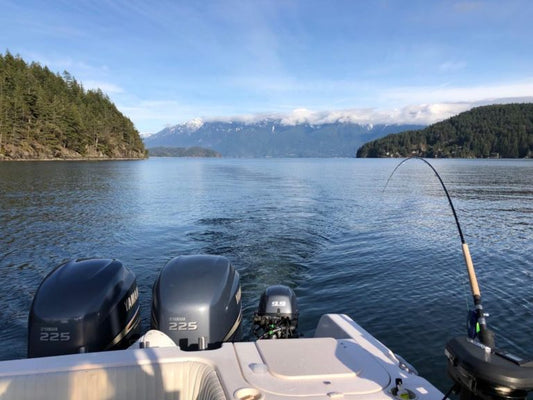 Pacific Angler Friday Fishing Report: February 14, 2020