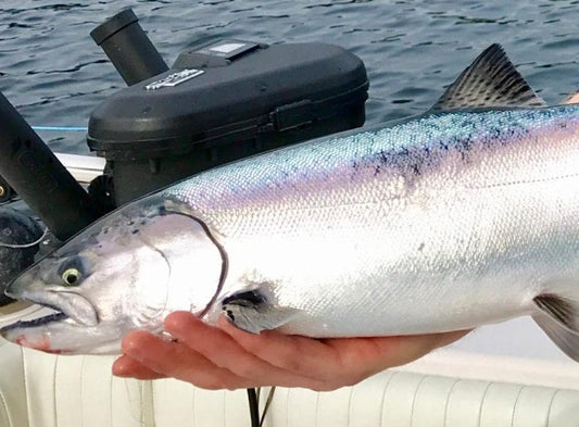 Pacific Angler Friday Fishing Report: March 22, 2019