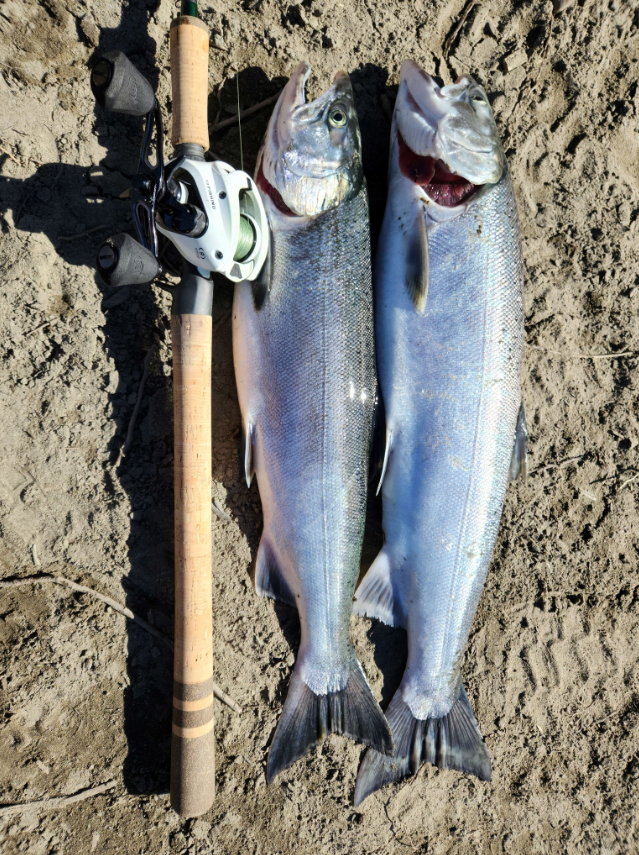 Pacific Angler Friday Fishing Report: October 13, 2023