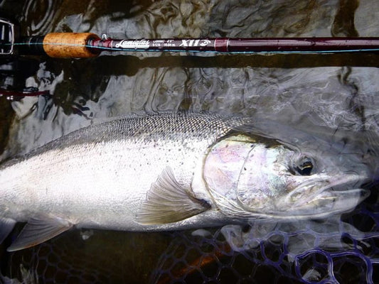 Pacific Angler Friday Fishing Report: March 27, 2020