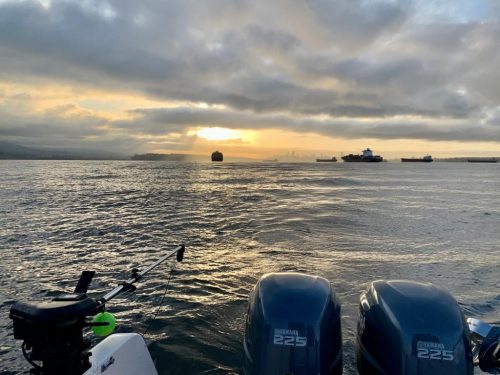 Pacific Angler Friday Fishing Report: March 26, 2021