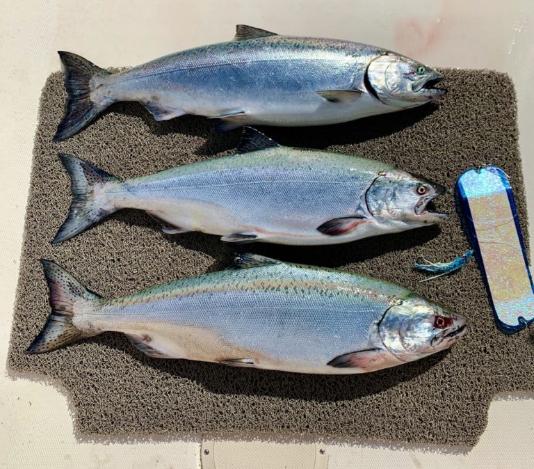 Pacific Angler Friday Fishing Report: July 17, 2020