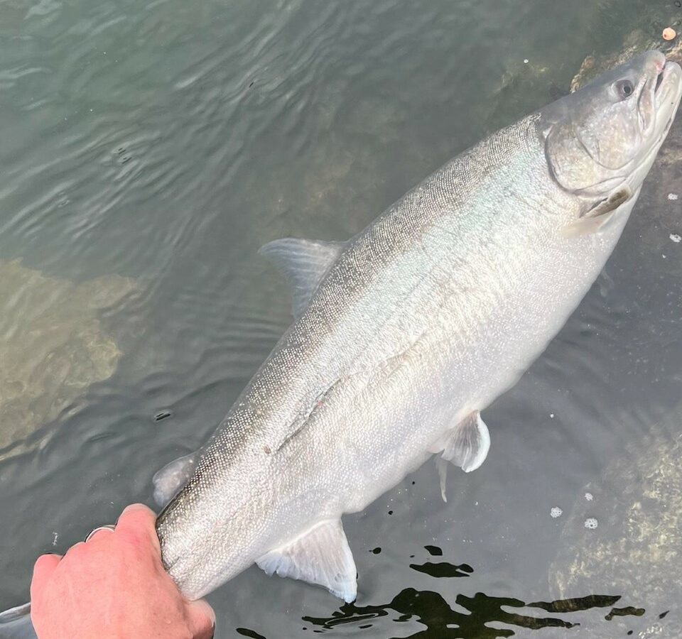 Pacific Angler Friday Fishing Report: January 6, 2023