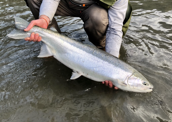 Pacific Angler Friday Fishing Report: January 15, 2021