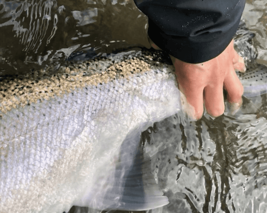 Pacific Angler Friday Fishing Report: April 14, 2023