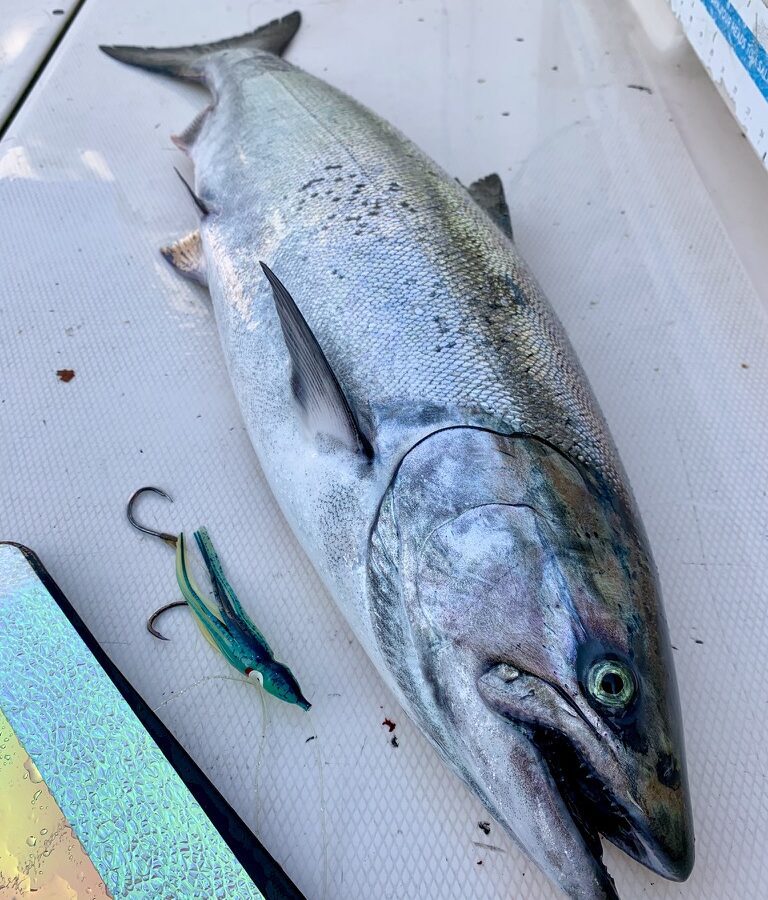 Pacific Angler Friday Fishing Report: October 21, 2022