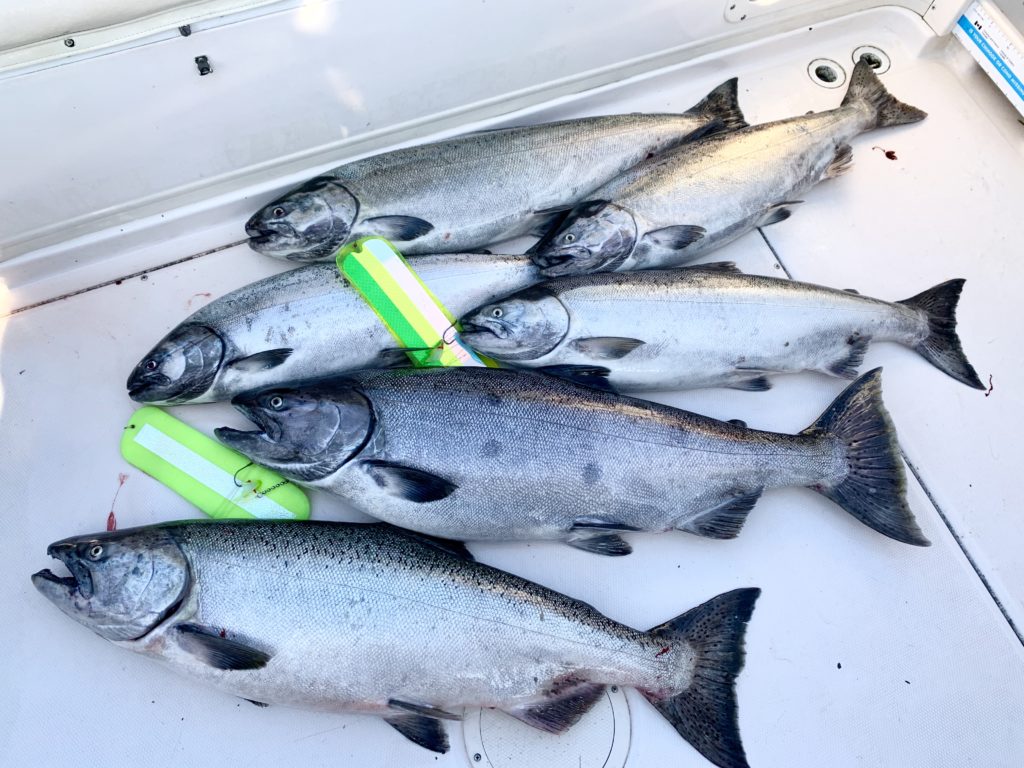 Pacific Angler Friday Fishing Report: September 4, 2020