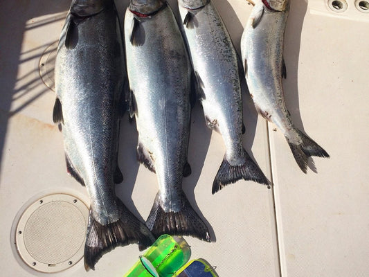 Pacific Angler Friday Fishing Report: July 1, 2016