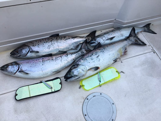 Pacific Angler Friday Fishing Report: April 7, 2017