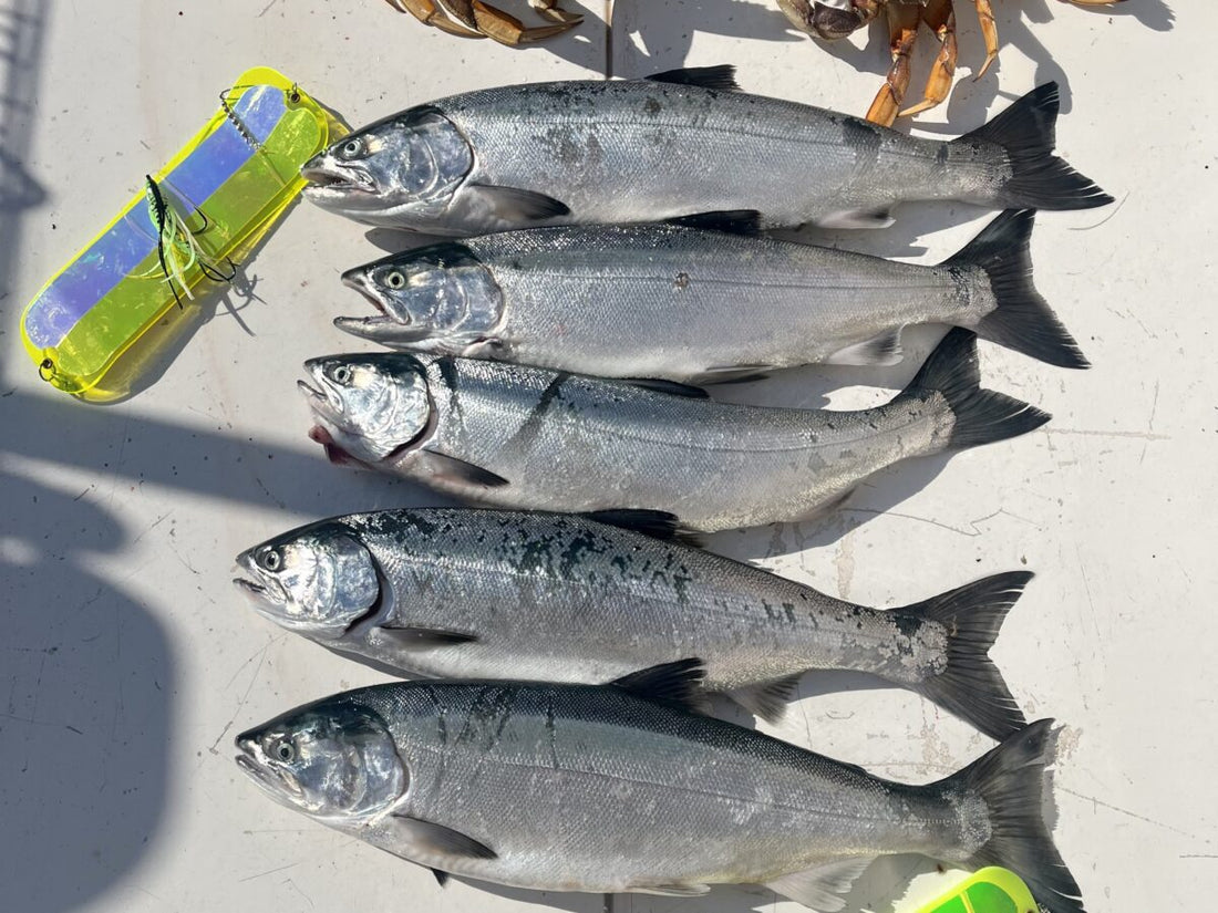 Pacific Angler Friday Fishing Report: June 9, 2023