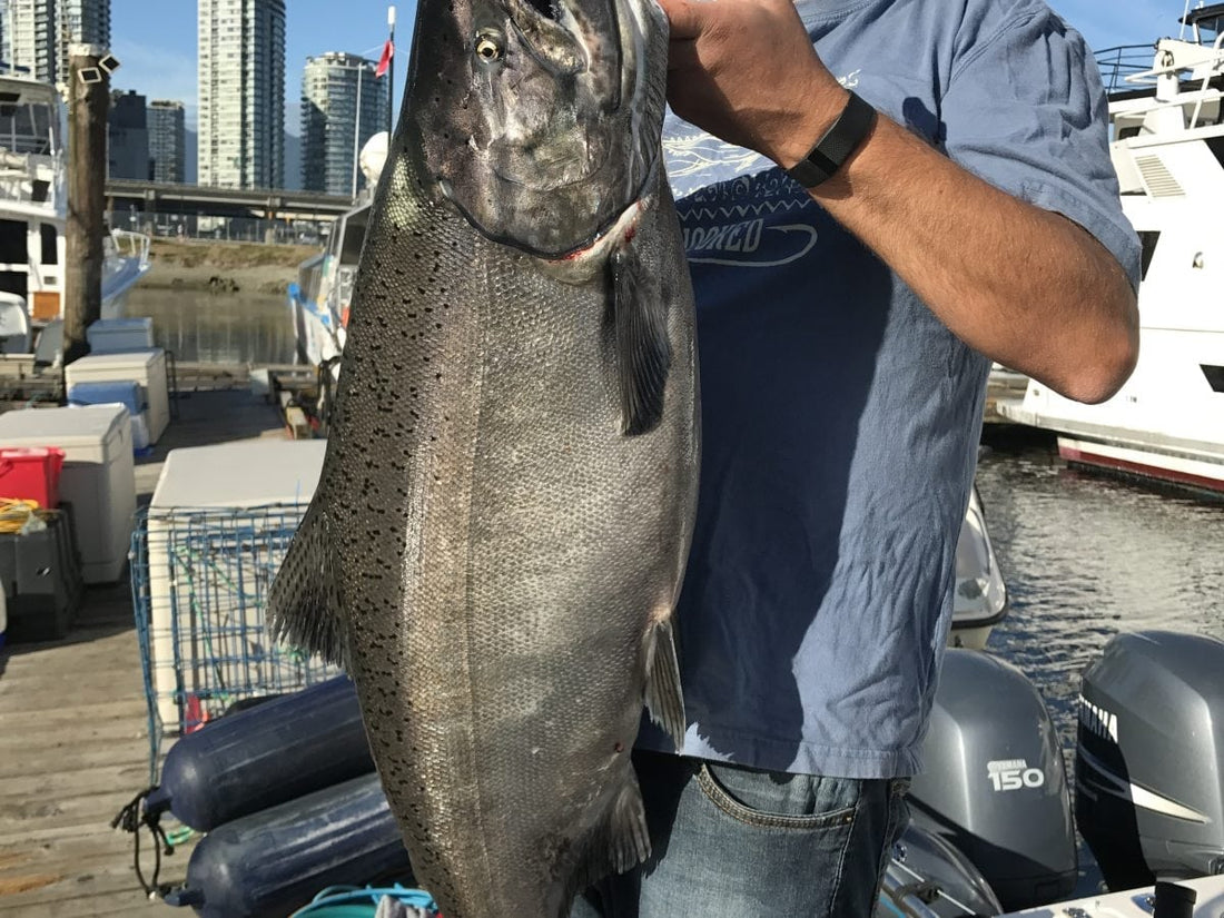 Pacific Angler Friday Fishing Report: September 15, 2017