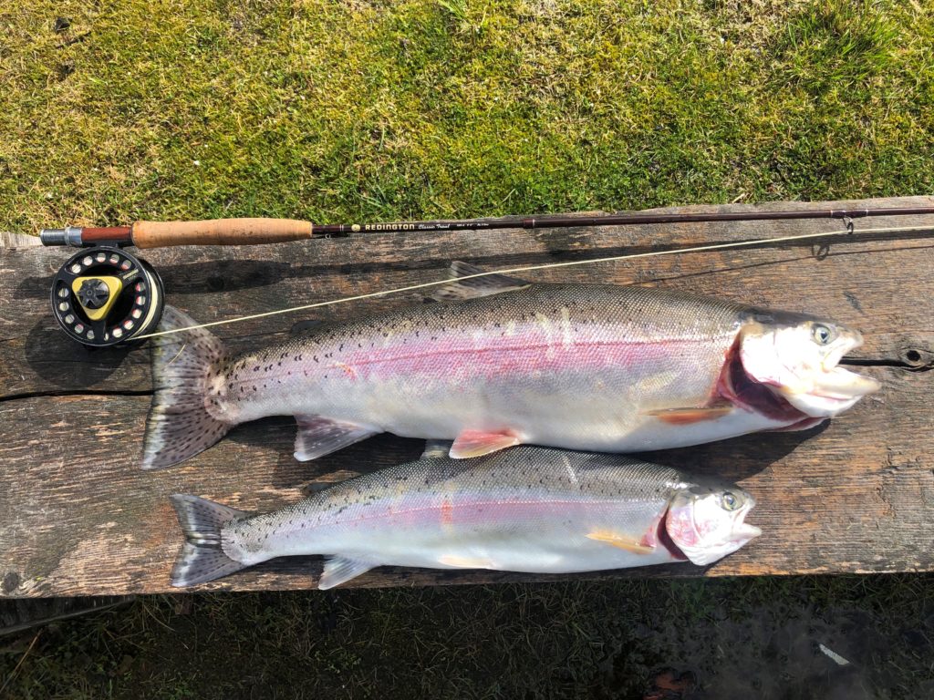 Pacific Angler Friday Fishing Report: March 25, 2022