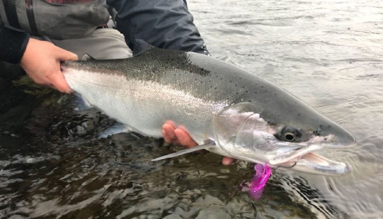 Pacific Angler Friday Fishing Report: March 9, 2018