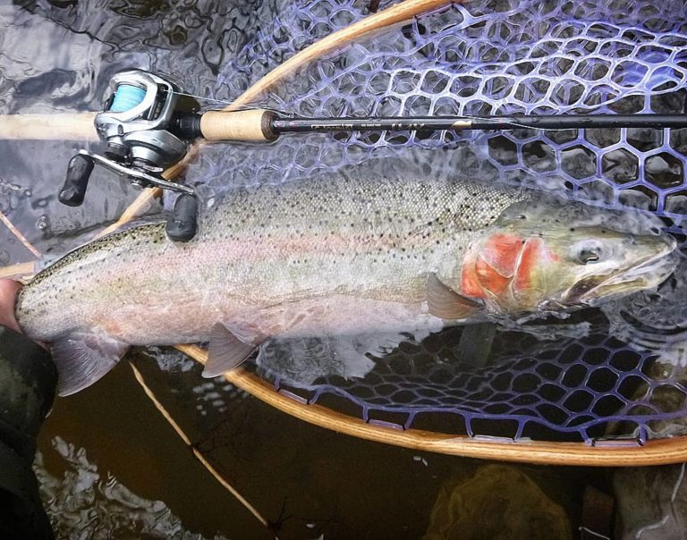 Pacific Angler Friday Fishing Report: February 19, 2021