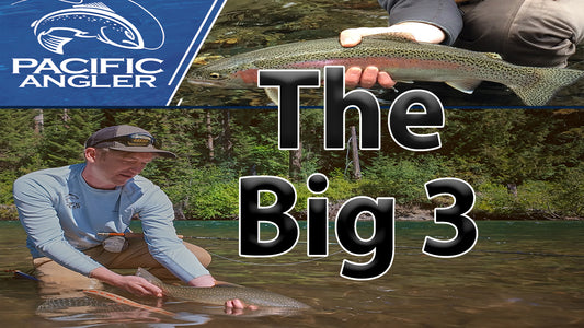 Top 3 Ways We Fly Fish In Trout Rivers + The Gear You Need