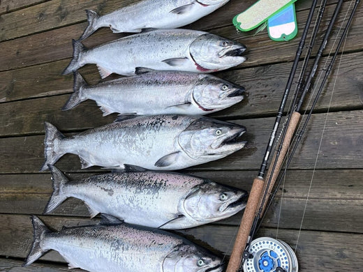 Pacific Angler Friday Fishing Report: December 6, 2024