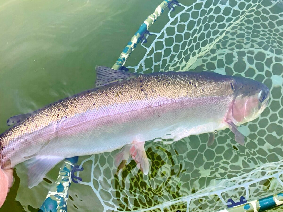 Pacific Angler Friday Fishing Report: July 8, 2022