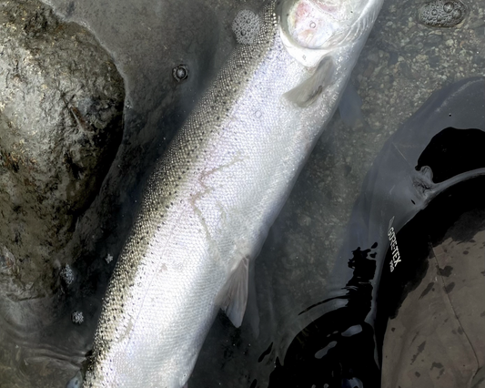 Pacific Angler Friday Fishing Report: March 8, 2024