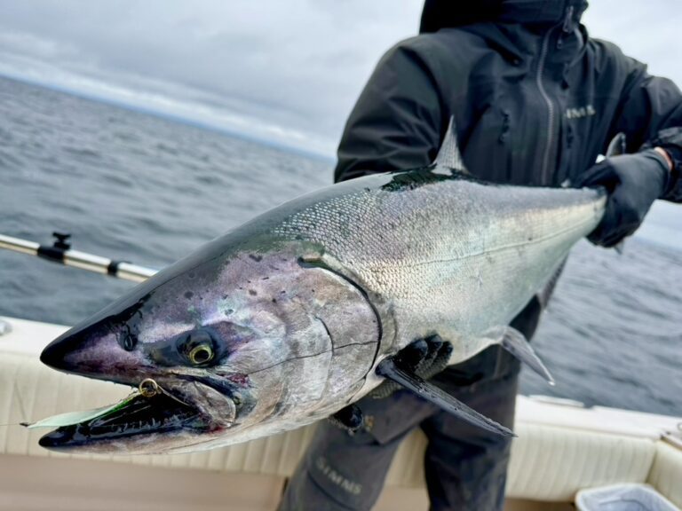 Pacific Angler Friday Fishing Report: May 31, 2024