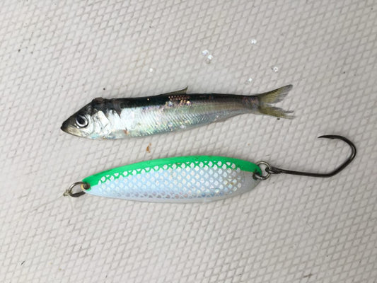 Pacific Angler Friday Fishing Report: October 25, 2019