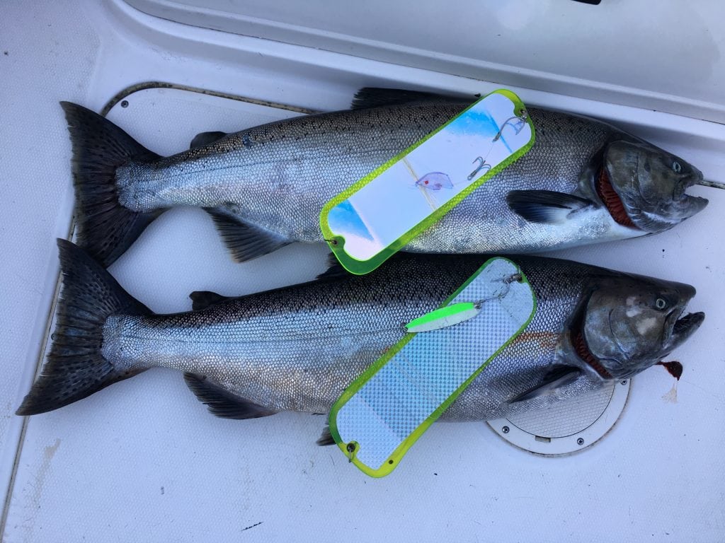 Pacific Angler Friday Fishing Report: October 5, 2018