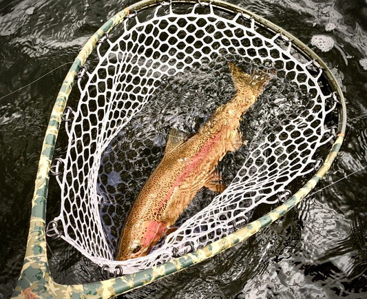 Pacific Angler Friday Fishing Report: June 12, 2020