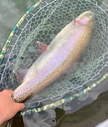 Pacific Angler Friday Fishing Report: May 20, 2022