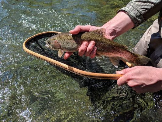 Pacific Angler Friday Fishing Report: July 20, 2018