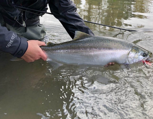 Pacific Angler Friday Fishing Report: October 8, 2021