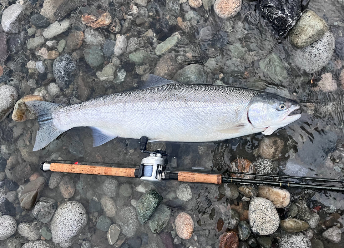 Pacific Angler Friday Fishing Report:  December 27, 2024