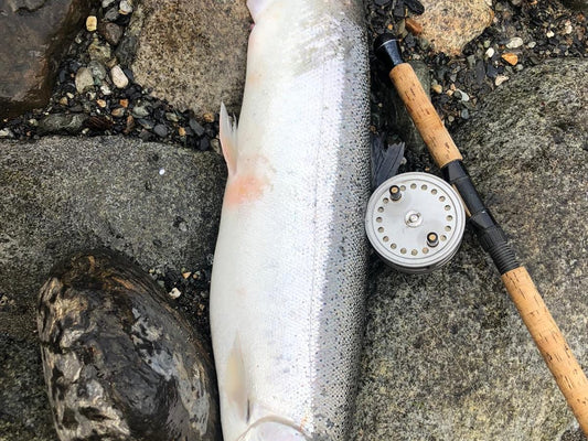 Pacific Angler Friday Fishing Report: January 31, 2020