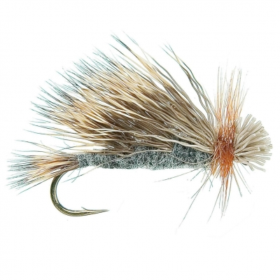 BC Tri-Wing Sedge