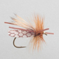 Etha Wing Caddis