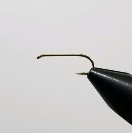 Daiichi 1560 - Traditional Nymph Hook