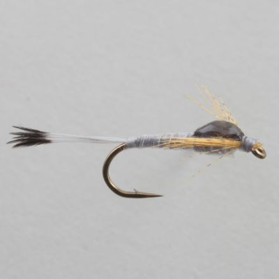 Emerger Callibaetis