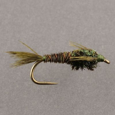 Pheasant Tail Nymph