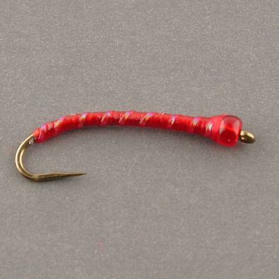 Bills Bloodworm