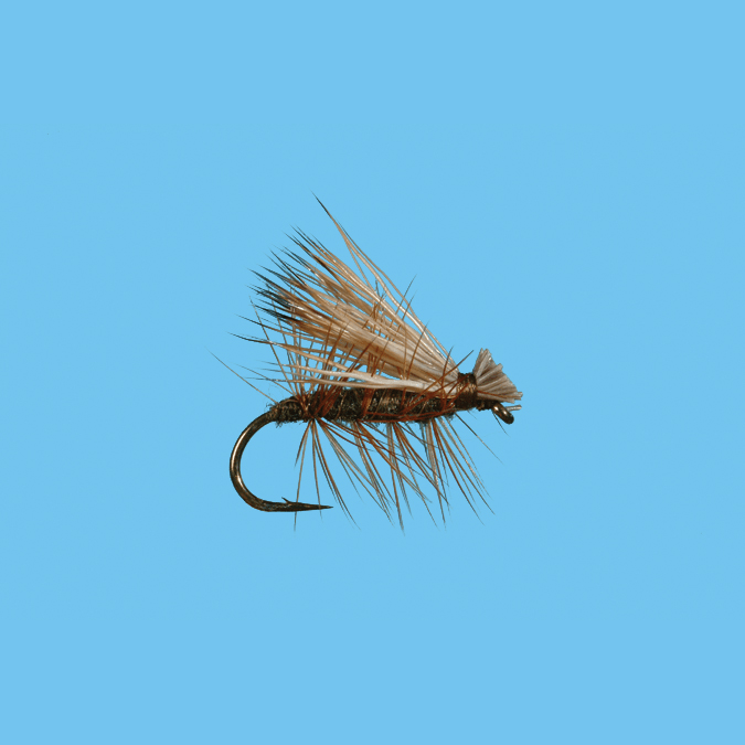 Elk Hair Caddis