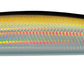 Daiwa Salt Pro Minnow