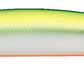 Daiwa Salt Pro Minnow