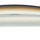 Daiwa Salt Pro Minnow