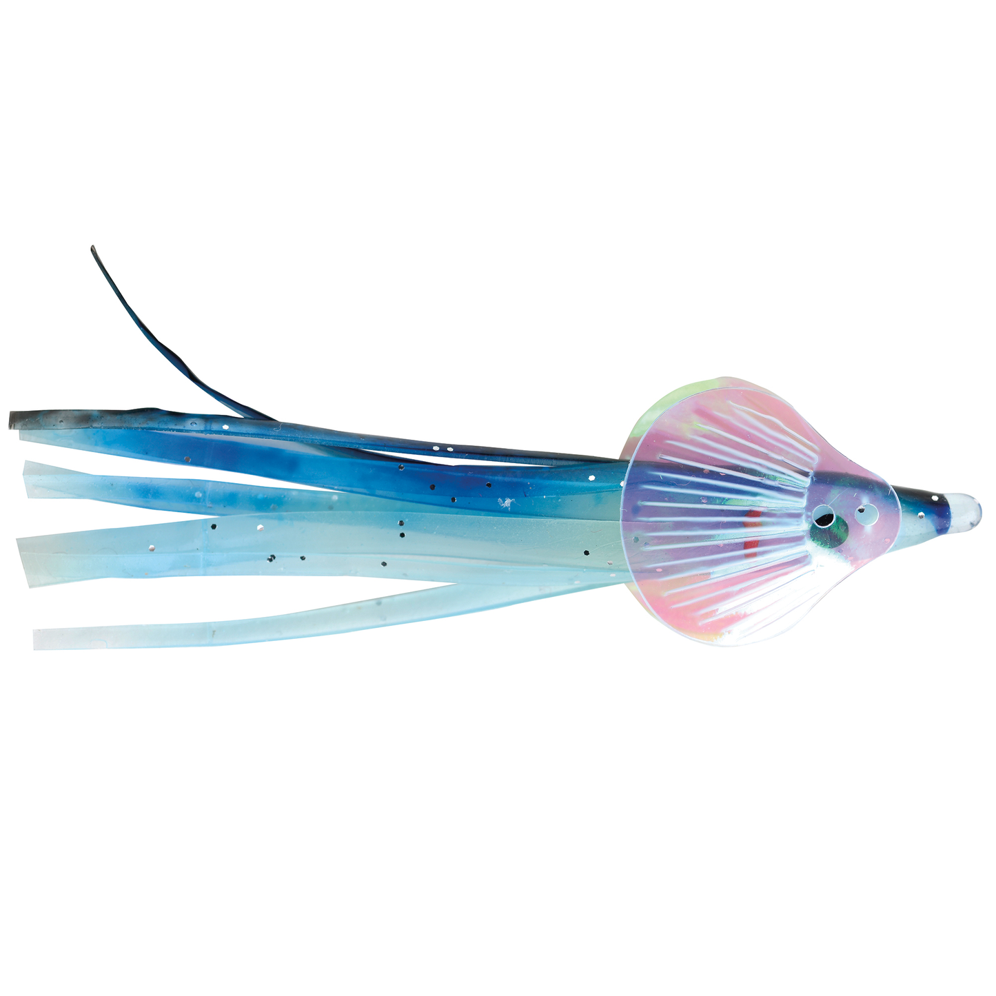 P-line Geisha Squid