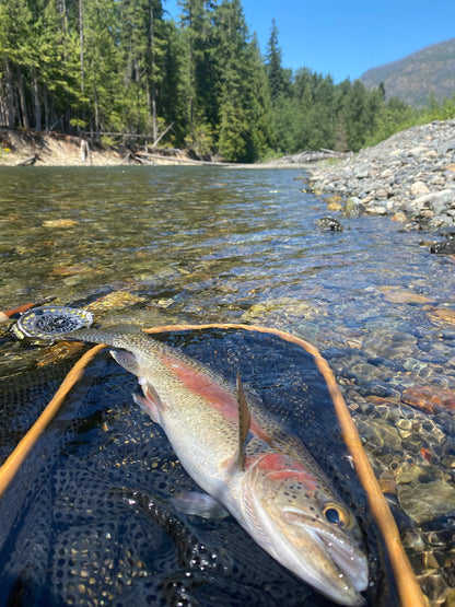 Pacific Angler Course:  Introduction to Fly Fishing Trout Streams