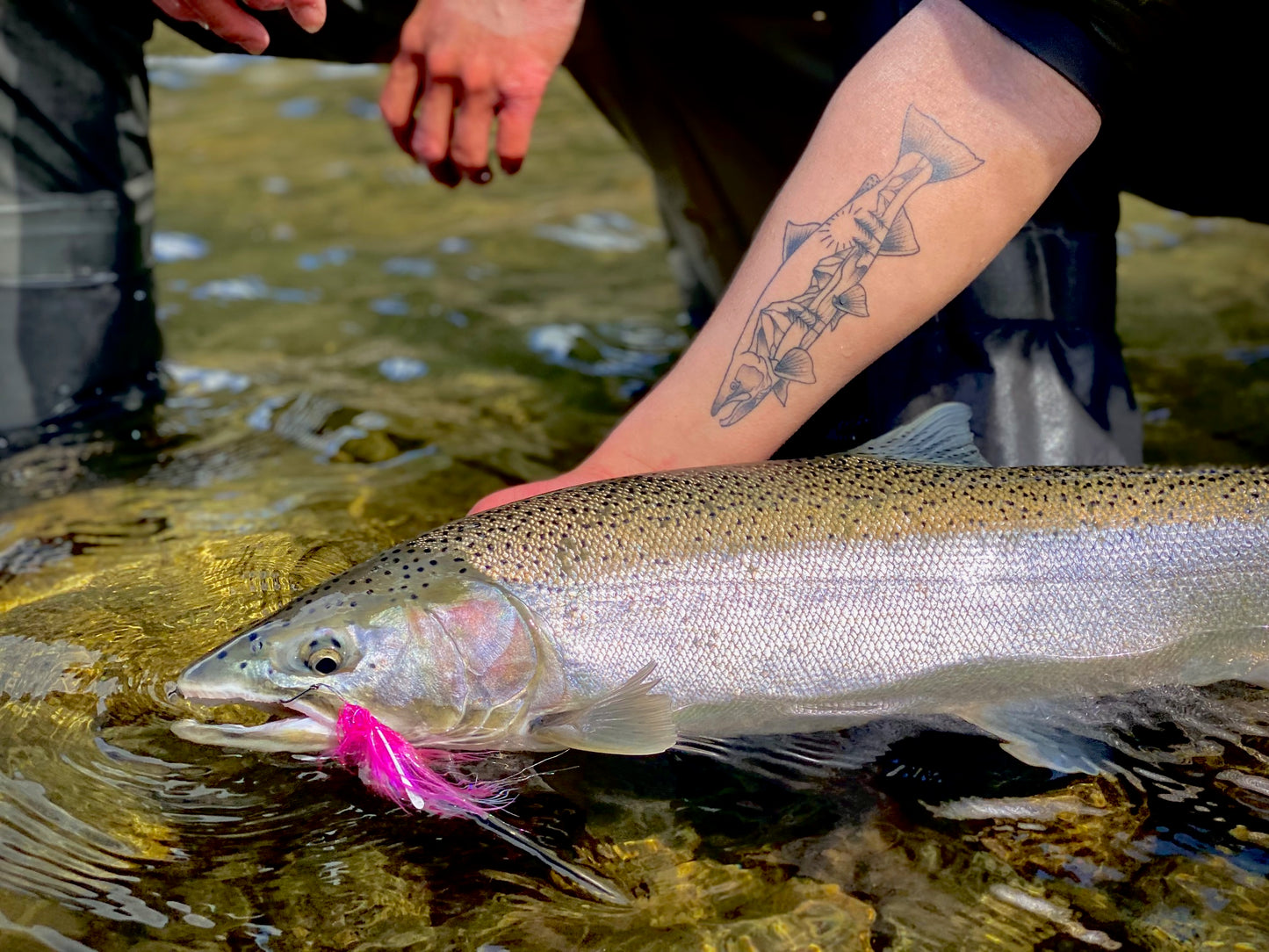 Pacific Angler Course:  Winter Steelhead on the Fly