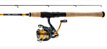 Daiwa Revros LT Spinning Combo