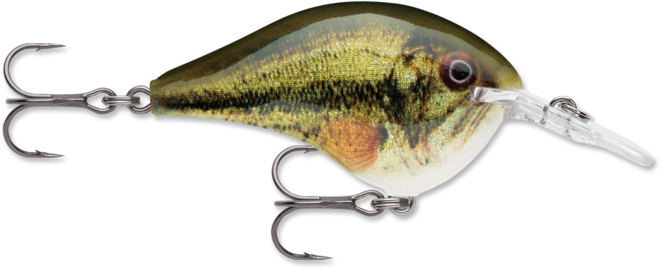 Rapala Dives To