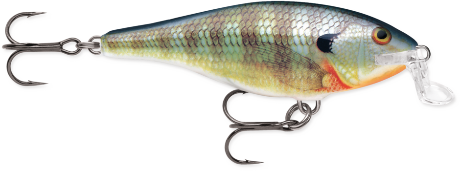 Rapala Shallow Shad Rap