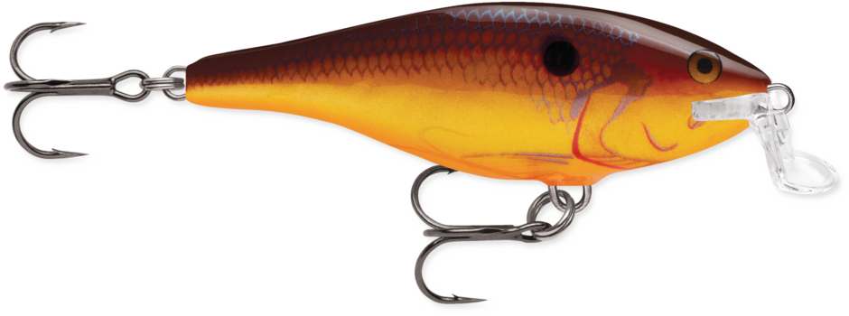 Rapala Shallow Shad Rap