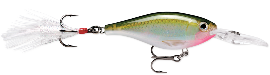 Rapala X-Rap Shad