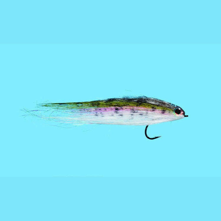 Baby Rainbow Trout